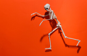 Skeletons on orange bright background. Halloween decoration, scary theme. Flat lay