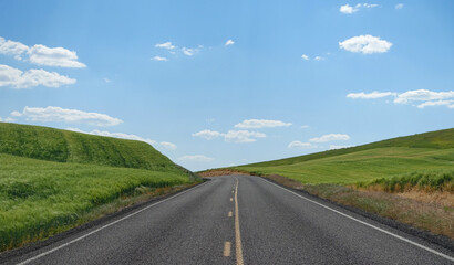 Fototapeta na wymiar Road surrounded by wheat field in Washington state. 