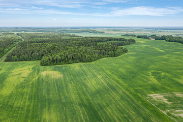 Fototapeta na wymiar countryside landscape with green fields and forest under blue sky at summer day. aerial view