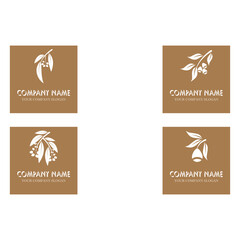 Set Eucalyptus leaves logo vector