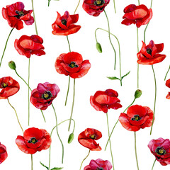 Fototapeta premium Seamless pattern of watercolor poppies on a white background.
