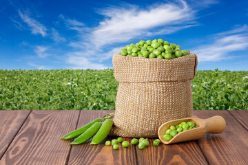 green peas in burlap sack