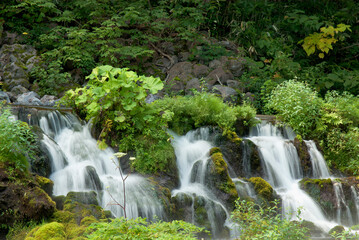 湧水と小さな滝のある風景