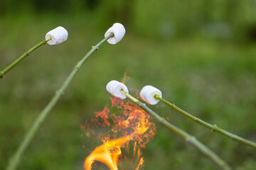 toasted marshmallow on wooden stick