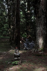 Obraz premium 高野山 奥の院 お地蔵さん Koyasan Okunoin Jizo