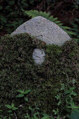 高野山 奥の院  お地蔵さん Koyasan Okunoin Jizo