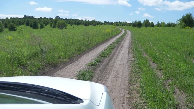landscape of a rural road in a field, view from the side window of a car
