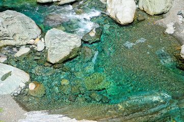 日本の自然　Japanese nature