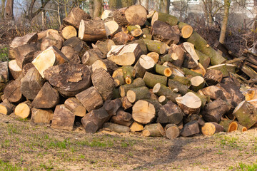 Firewood is neatly stacked. A mountain of firewood