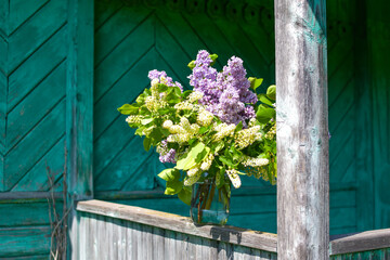 Fototapeta na wymiar rural natural landscape with house and flowers