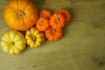 Variety of squash and pumpkins on a rustic timber background