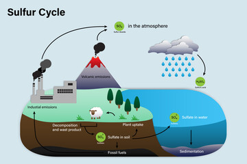 Obraz premium Diagram of Sulfur cycle