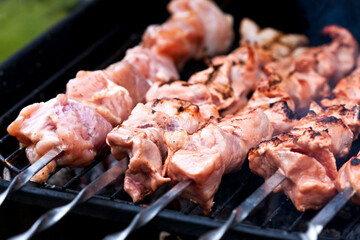 Roasted meat cooked at barbecue with smoke.