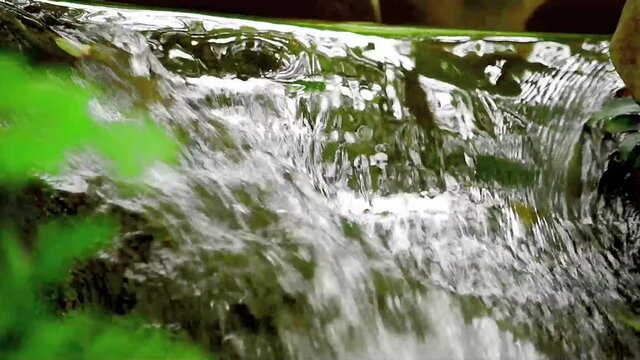 美しい深山の天然水