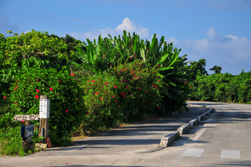 Fototapeta premium 竹富島の風景 Japan summer sky landscape of Okinawa