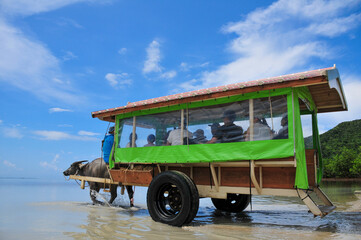 西表島の水牛車 Buffalo Cart On Iriomote Island Okinawa Wall Mural Raicho