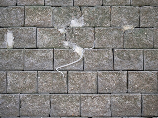 Snake carcass molting on concrete blocks wall background