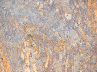 full frame bark of tree for natural background and texture