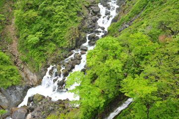 Fototapeta na wymiar 華厳の滝　Famous majestic waterfall in Japan