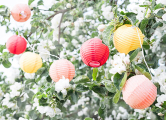 Colorful paper lanterns on a flowering tree. Holiday. Selective focus © Olga