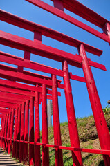 元乃隅稲成神社の大絶景　Good scenery of red torii and sea