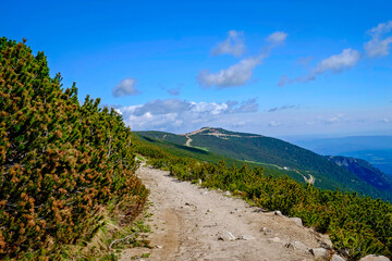 Fototapeta na wymiar Road to Highest Mountain Peak in Bulgaria 2