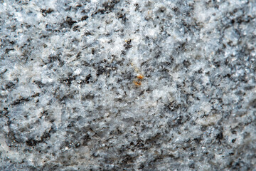 High granular texture of natural granite with color stains and small details on the surface in light blur with soft focus