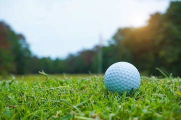  Blurred golf ball on green in the evening golf course with sunshine in thailand