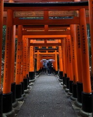 Fushimi-inari in the rain