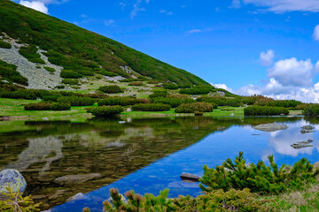 Fototapeta na wymiar Landscape of Clear Mountain Lake with Reflections 1
