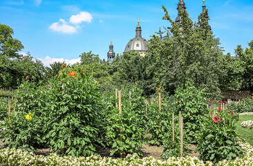 In the cathedral city of Fulda, Germany, a wonderful dahlia garden is hidden behind old walls. The “Queen of Autumn” rules the entire area near the cathedral.