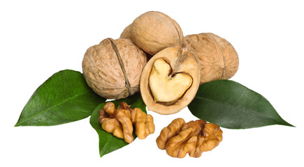 Walnuts isolated on white background