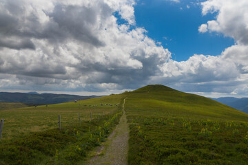 Hochvogesen nahe des Rothenbachkopf im Elsass