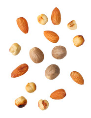 Hazelnuts and almonds isolated on white background