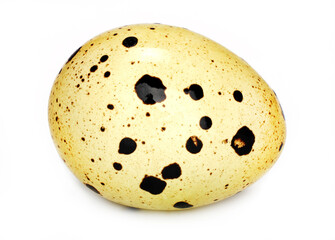 Fototapeta premium Quail egg isolated on white background