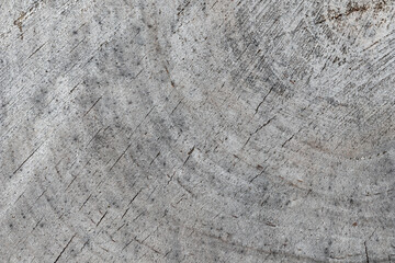Background from a cross section of a tree trunk. Abstract texture from the rings of an old weathered stump