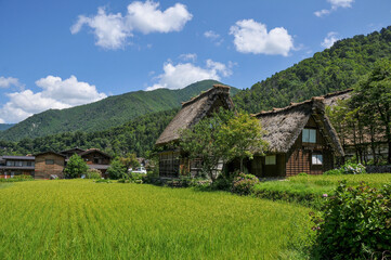 Fototapeta na wymiar 世界遺産の白川郷　Shirakawa-go, a World Heritage Site in Japan