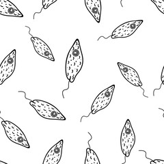 Euglena green with flagellum and organelles randomly located