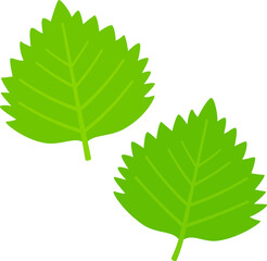 青じそ、大葉の個別イラスト