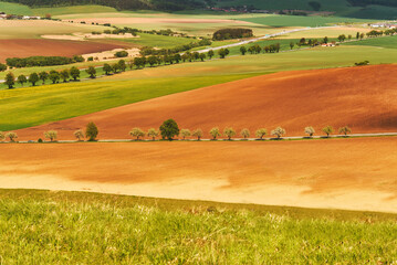 Fototapeta premium Agricultural black and green fields Aerial view. Horizontal view in perspective. Rows of soil before planting. Row pattern in a plowed field.