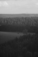 Westerwald Landschaft in schwarz und weiß