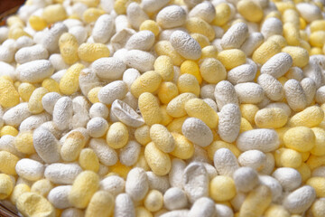 Thai Silk and Cocoon