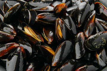 Macro photo of frozen cooked mussels