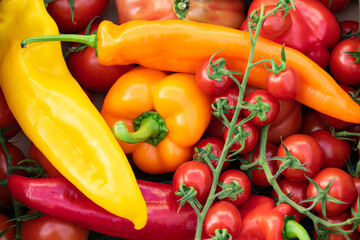 Gemüsekiste mit Tomaten, Paprika und Gurken