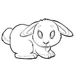 cute rabbit sketch, coloring, on a white background, vector illustration,