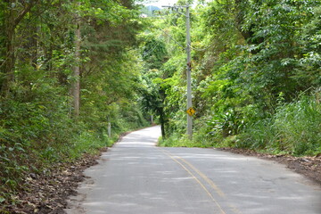 Fototapeta premium A road heading to...