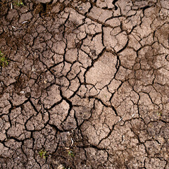 Brown Cracked ground,Cray Soil,Mud Crack.Cracks on the surface of the earth are altered by the shrinkage of mud due to drought conditions of the terrain.

