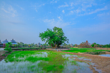 Naklejka premium landscape with river and blue sky