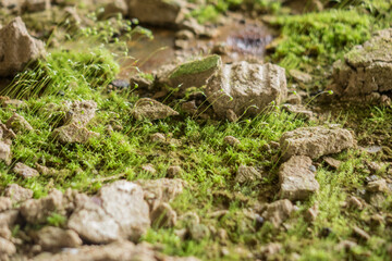 fragment of floor in an abandoned factory