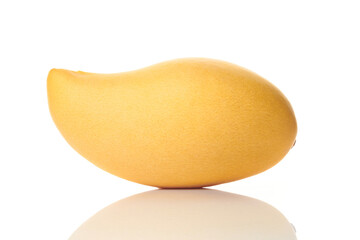 Mango is delicious. Popular eating around the world.